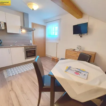 Apartamento Haus Sandlweber
