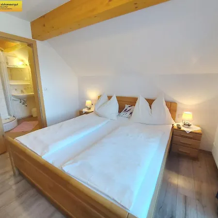 Haus Sandlweber * Bad Mitterndorf