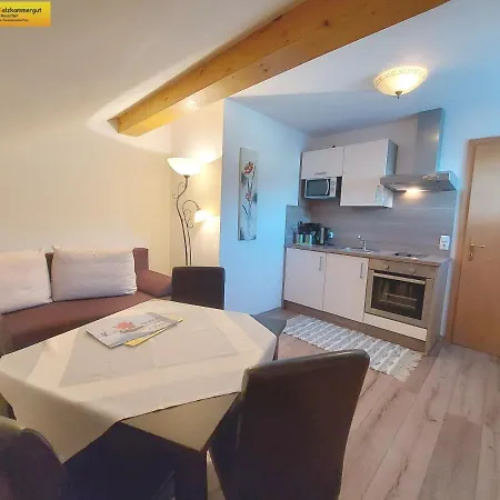 Haus Sandlweber * Bad Mitterndorf