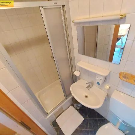 Haus Sandlweber * Bad Mitterndorf