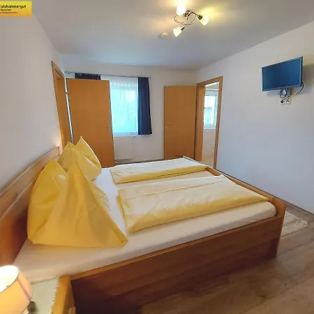 Apartamento Haus Sandlweber