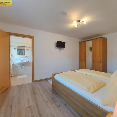 Apartamento Haus Sandlweber Bad Mitterndorf