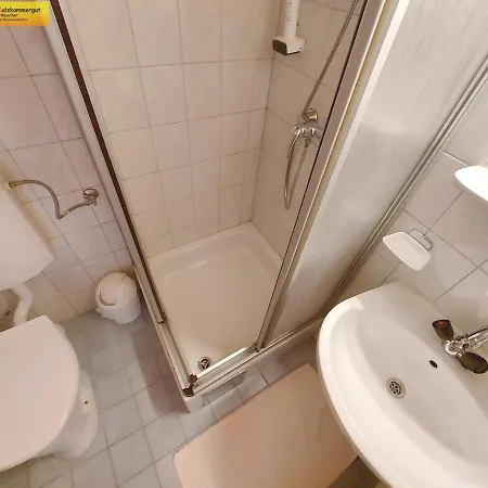 Apartamento Haus Sandlweber Bad Mitterndorf