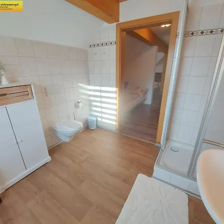 Haus Sandlweber Apartamento Bad Mitterndorf