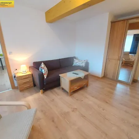 Haus Sandlweber Bad Mitterndorf