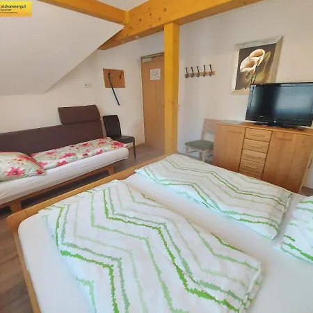 Apartamento Haus Sandlweber Bad Mitterndorf